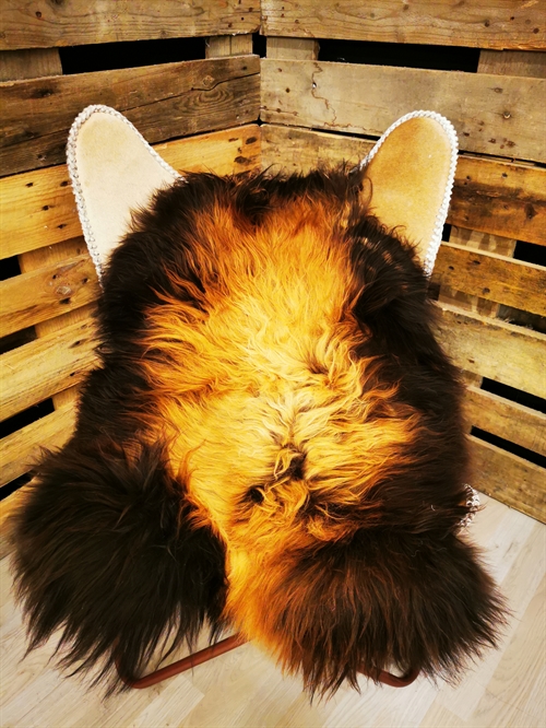 Lammeskind Islandsk Flame