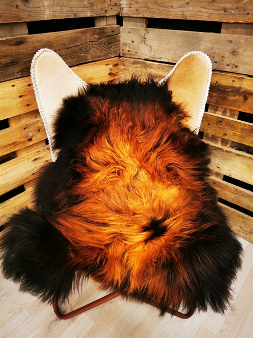 Lammeskind Islandsk Flame