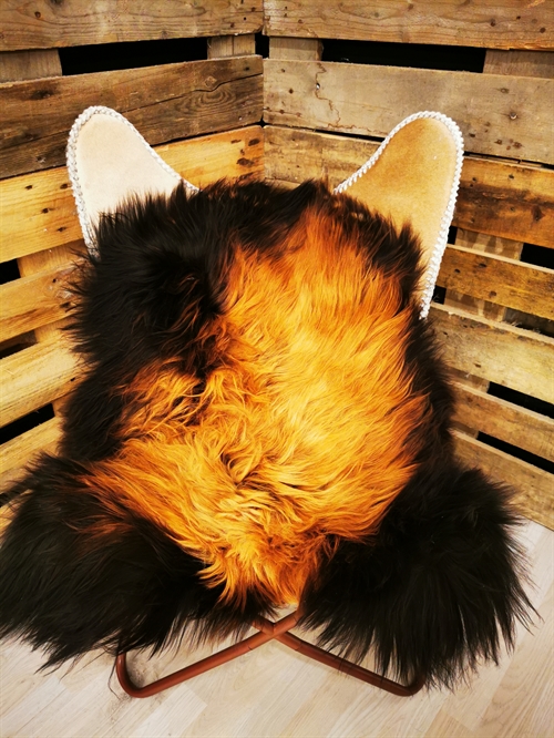 Lammeskind Islandsk Flame