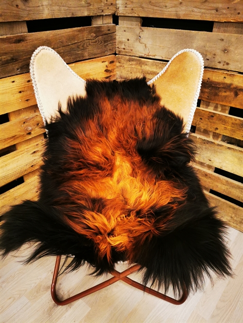 Lammeskind Islandsk Flame