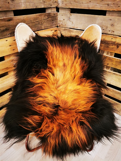 Lammeskind Islandsk Flame