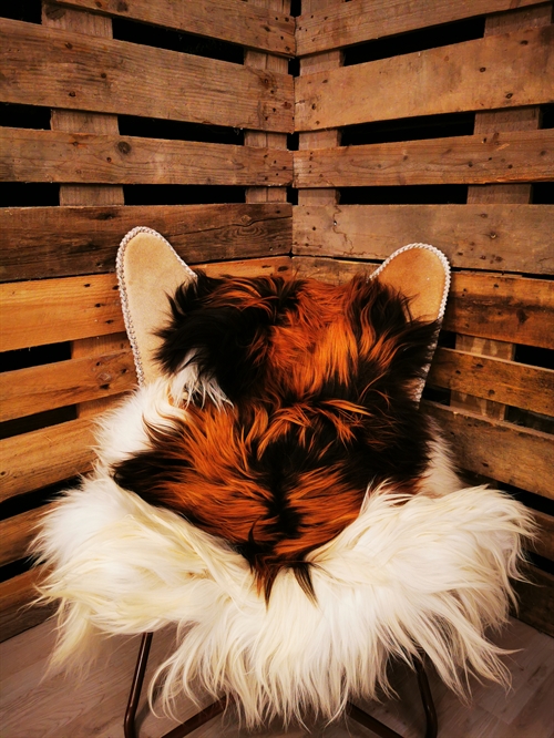 Lammeskind Islandsk Multi Flame