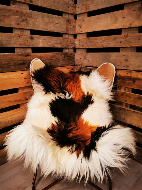 Lammeskind Islandsk Multi Flame