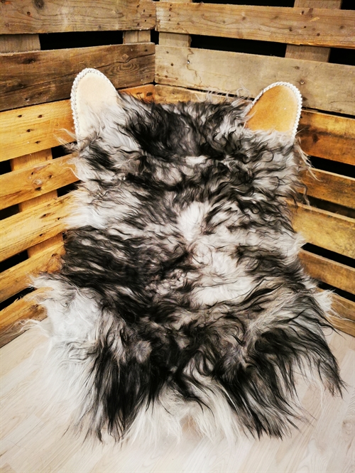 Lammeskind Islandsk Silver Shadow 