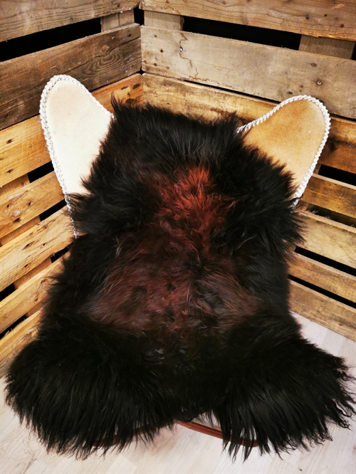 Lammeskind Islandsk Rusty