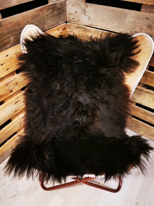 Lammeskind Islandsk Rusty