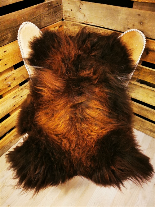 Lammeskind Islandsk Rusty