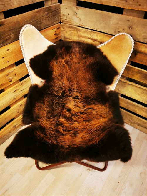 Lammeskind Europæisk Flame