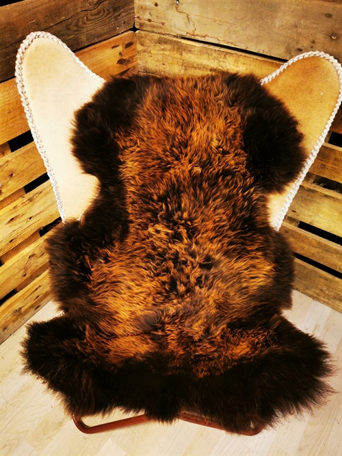 Lammeskind Europæisk Flame