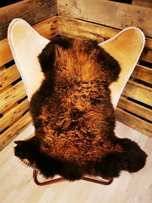 Lammeskind Europæisk Flame