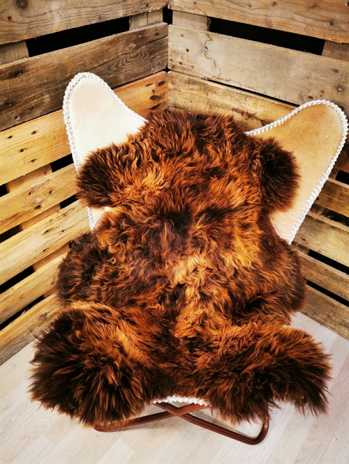 Lammeskind Europæisk Flame