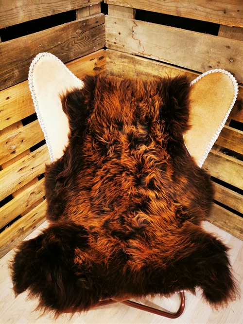 Lammeskind Europæisk Flame