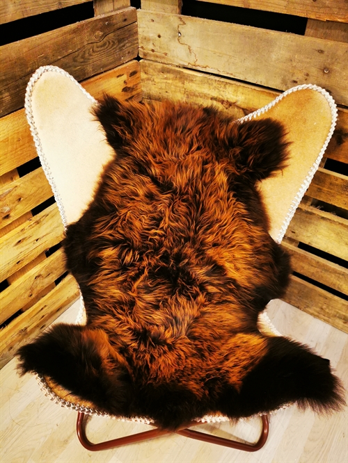 Lammeskind Europæisk Flame