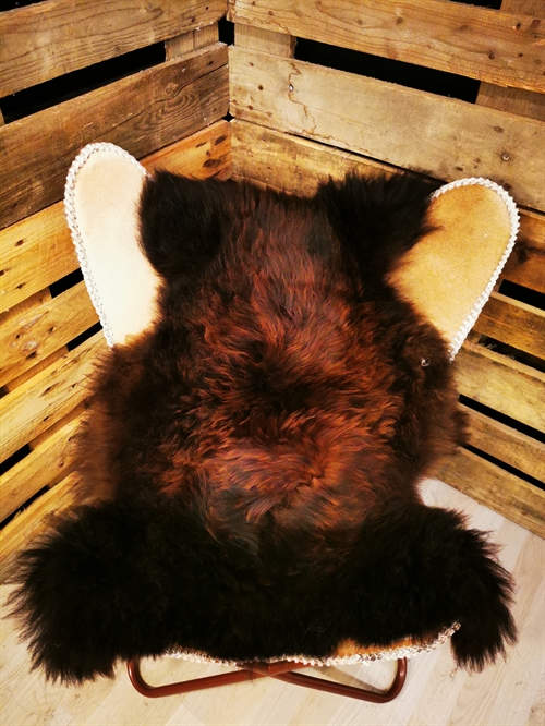 Lammeskind Europæisk Flame