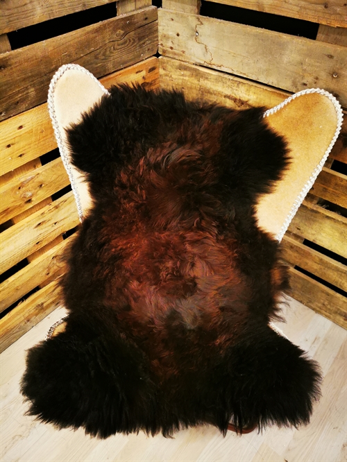 Lammeskind Europæisk Flame