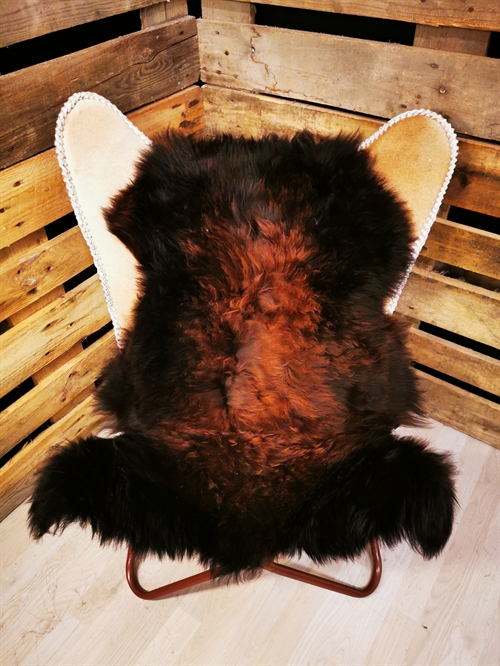 Lammeskind Europæisk Flame