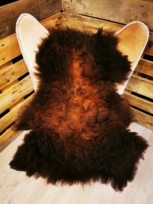 Lammeskind Europæisk Flame