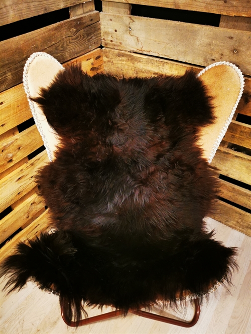 Lammeskind Europæisk Flame