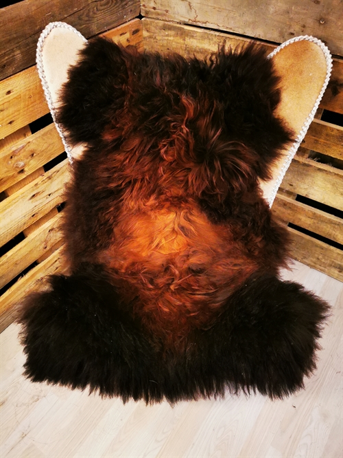 Lammeskind Europæisk Flame