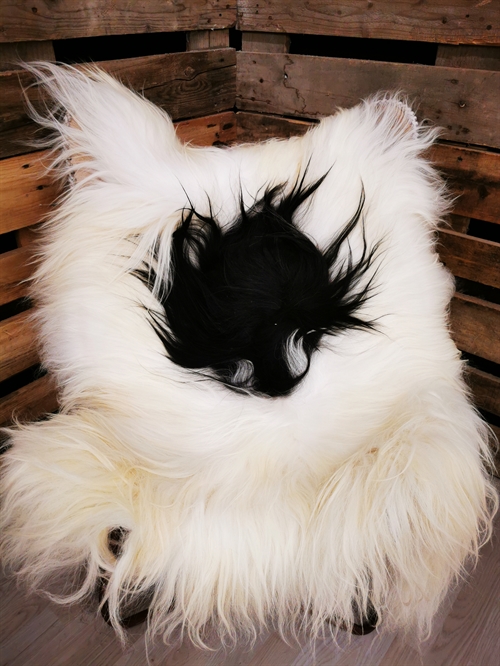 Lammeskind Islandsk Broget