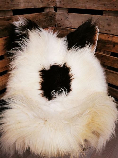 Lammeskind Islandsk Broget