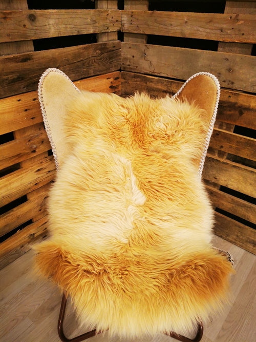 Lammeskind Europæisk Fox 