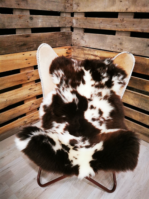 Lammeskind Jacobsfår