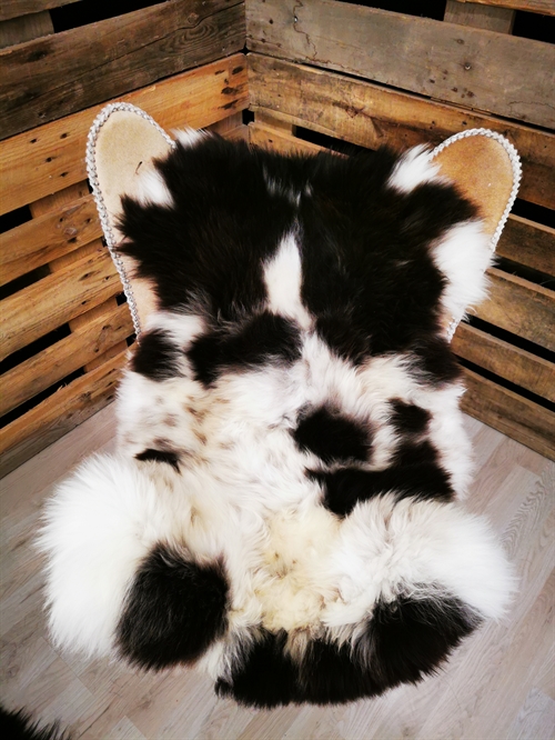 Lammeskind Jacobsfår