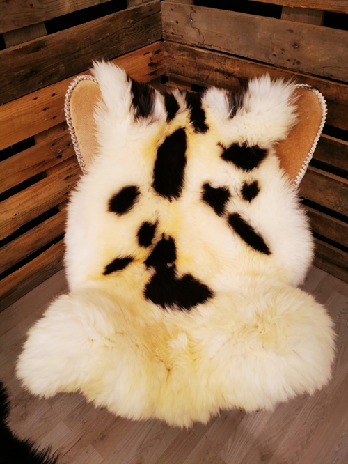 Lammeskind Jacobsfår