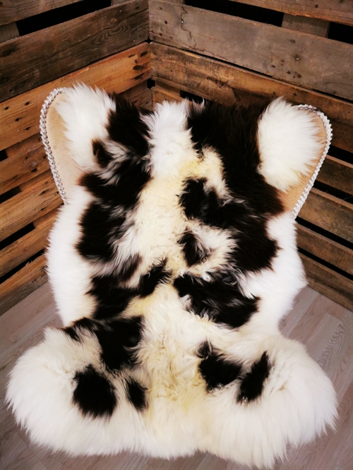 Lammeskind Jacobsfår