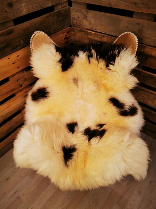 Lammeskind Europæisk Jacobsfår 