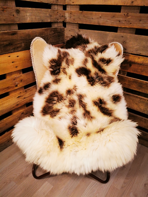 Lammeskind Europæisk Jacobsfår 