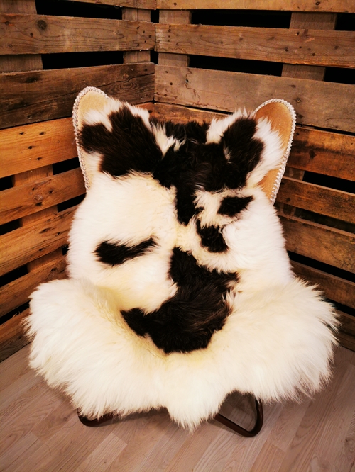 Lammeskind Europæisk Jacobsfår 