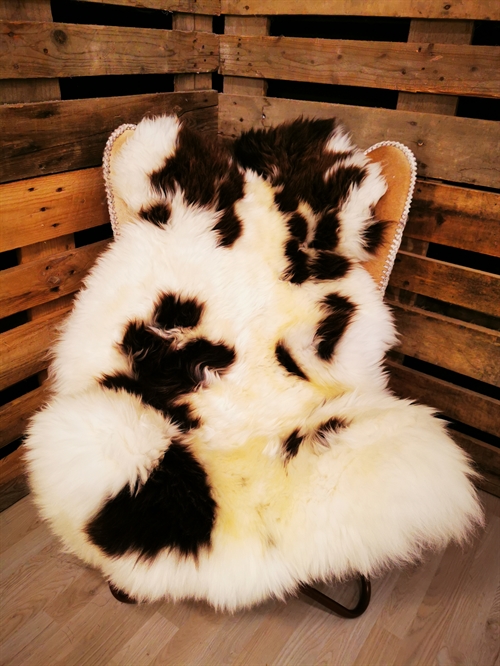 Lammeskind Europæisk Jacobsfår 