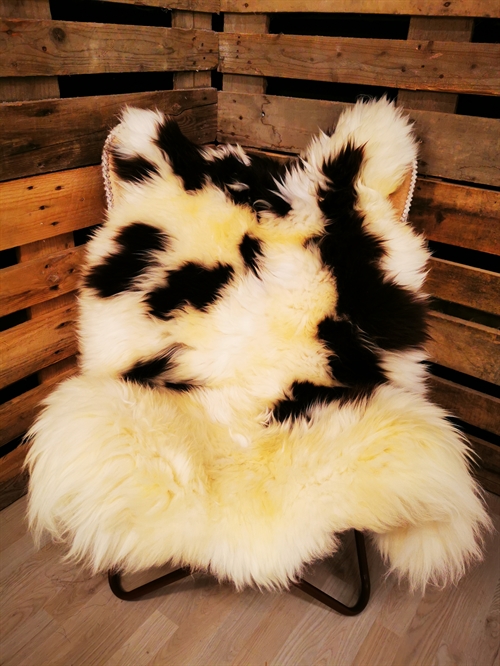 Lammeskind Europæisk Jacobsfår 