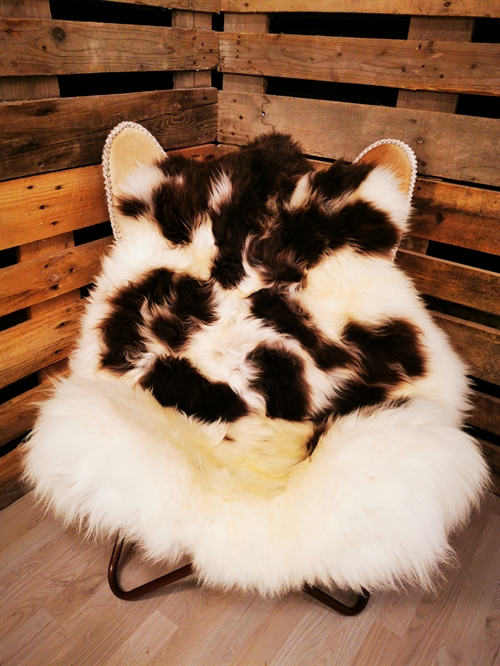 Lammeskind Europæisk Jacobsfår 