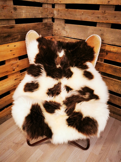 Lammeskind Europæisk Jacobsfår 