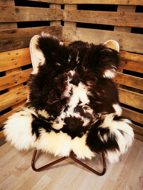 Lammeskind Europæisk Jacobsfår 