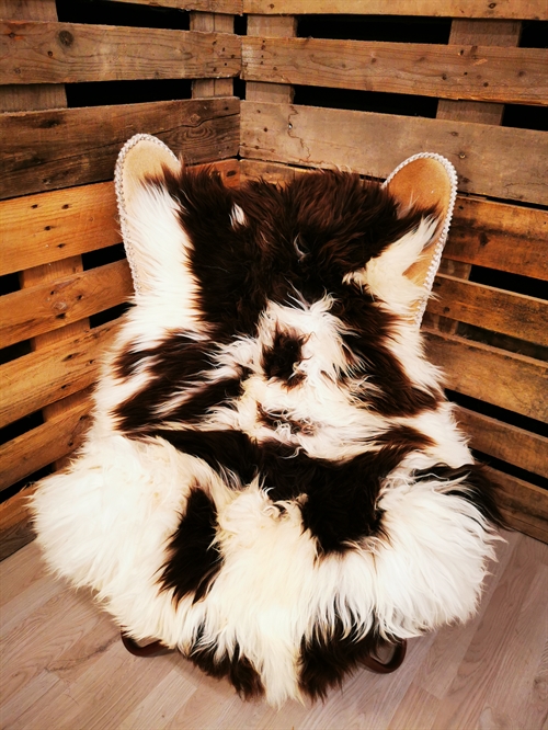 Lammeskind Europæisk Jacobsfår 