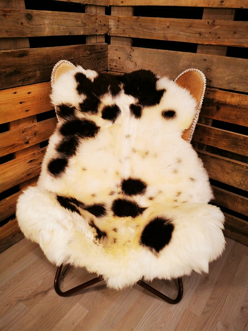 Lammeskind Europæisk Jacobsfår 