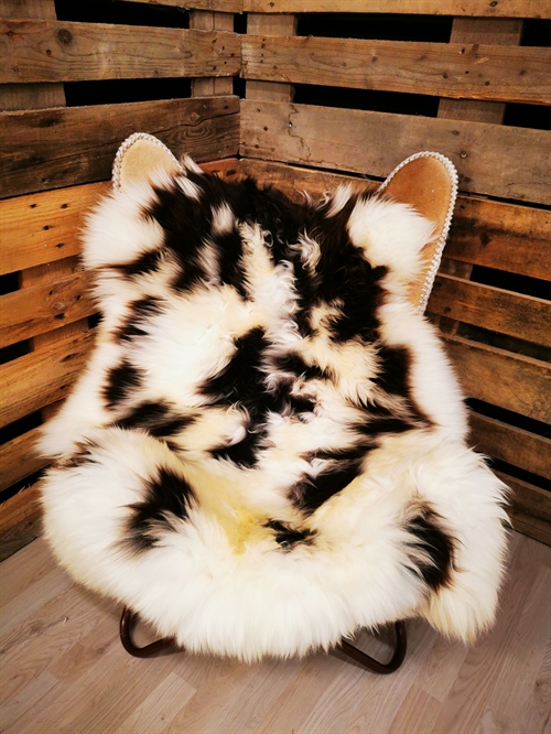 Lammeskind Europæisk Jacobsfår 