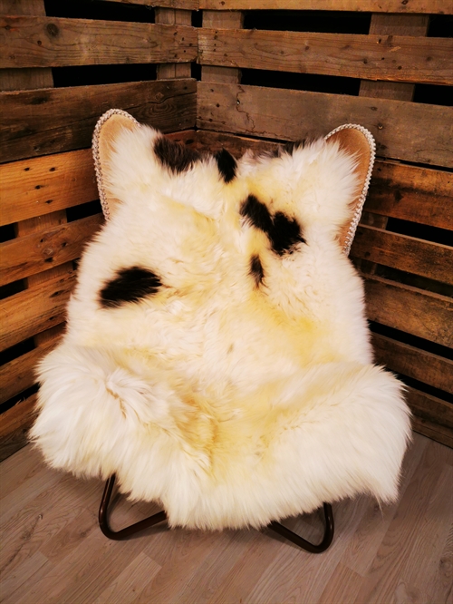 Lammeskind Europæisk Jacobsfår 