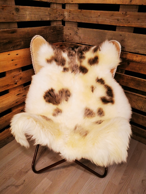 Lammeskind Europæisk Jacobsfår 