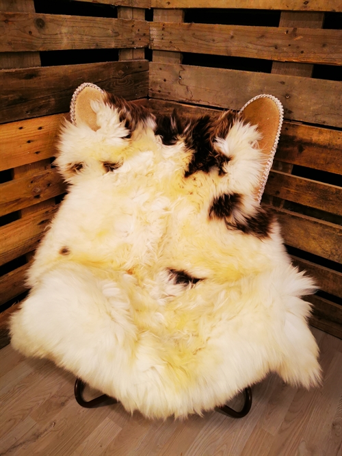 Lammeskind Europæisk Jacobsfår 