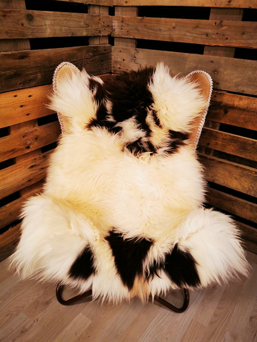 Lammeskind Europæisk Jacobsfår 