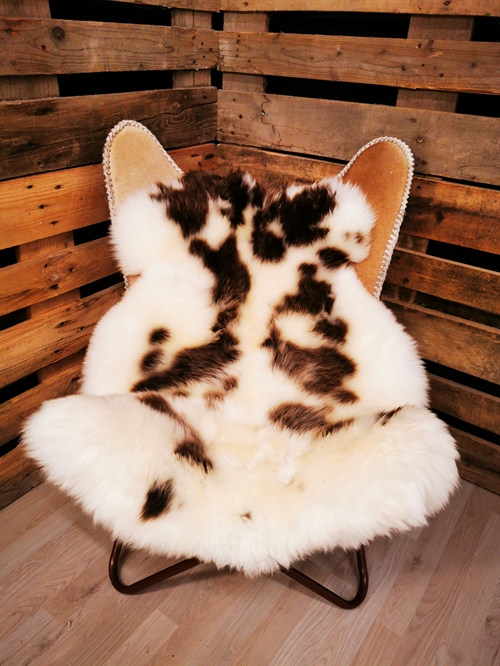 Lammeskind Europæisk Jacobsfår 