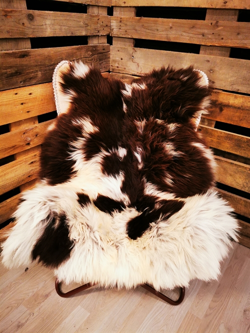 Lammeskind Europæisk Jacobsfår 