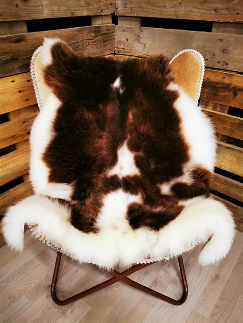 Lammeskind Europæisk Jacobsfår