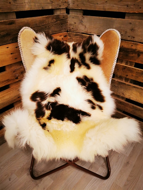 Lammeskind Europæisk Jacobsfår