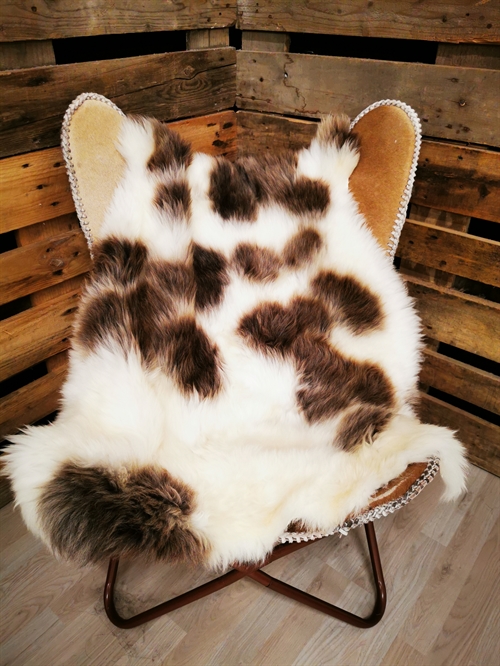 Lammeskind Europæisk Jacobsfår